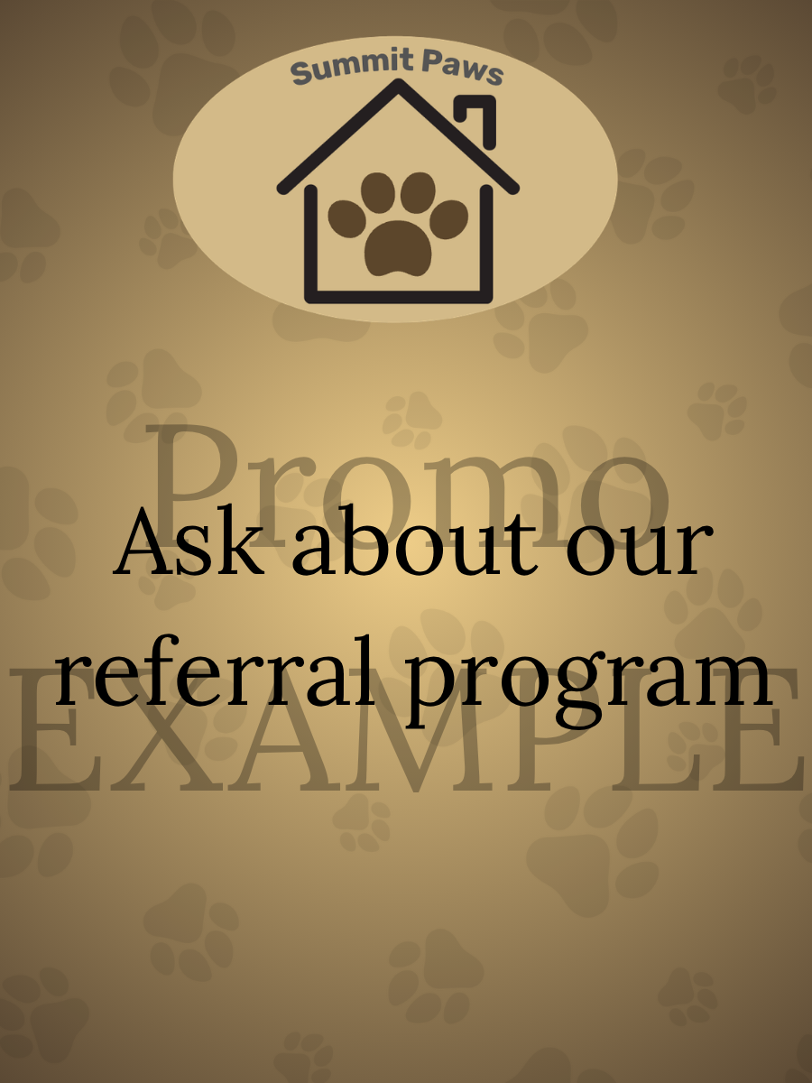 Promo Example2 — Summit Paws